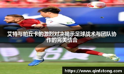 EMC易倍官网首页